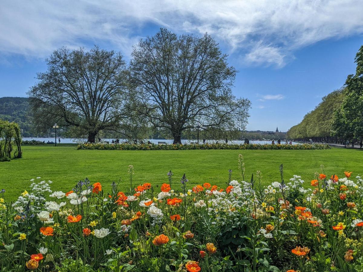Chez Lou Appartement Proche Du Lac Moderne Annecy Zewnętrze zdjęcie